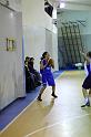Basket 252061